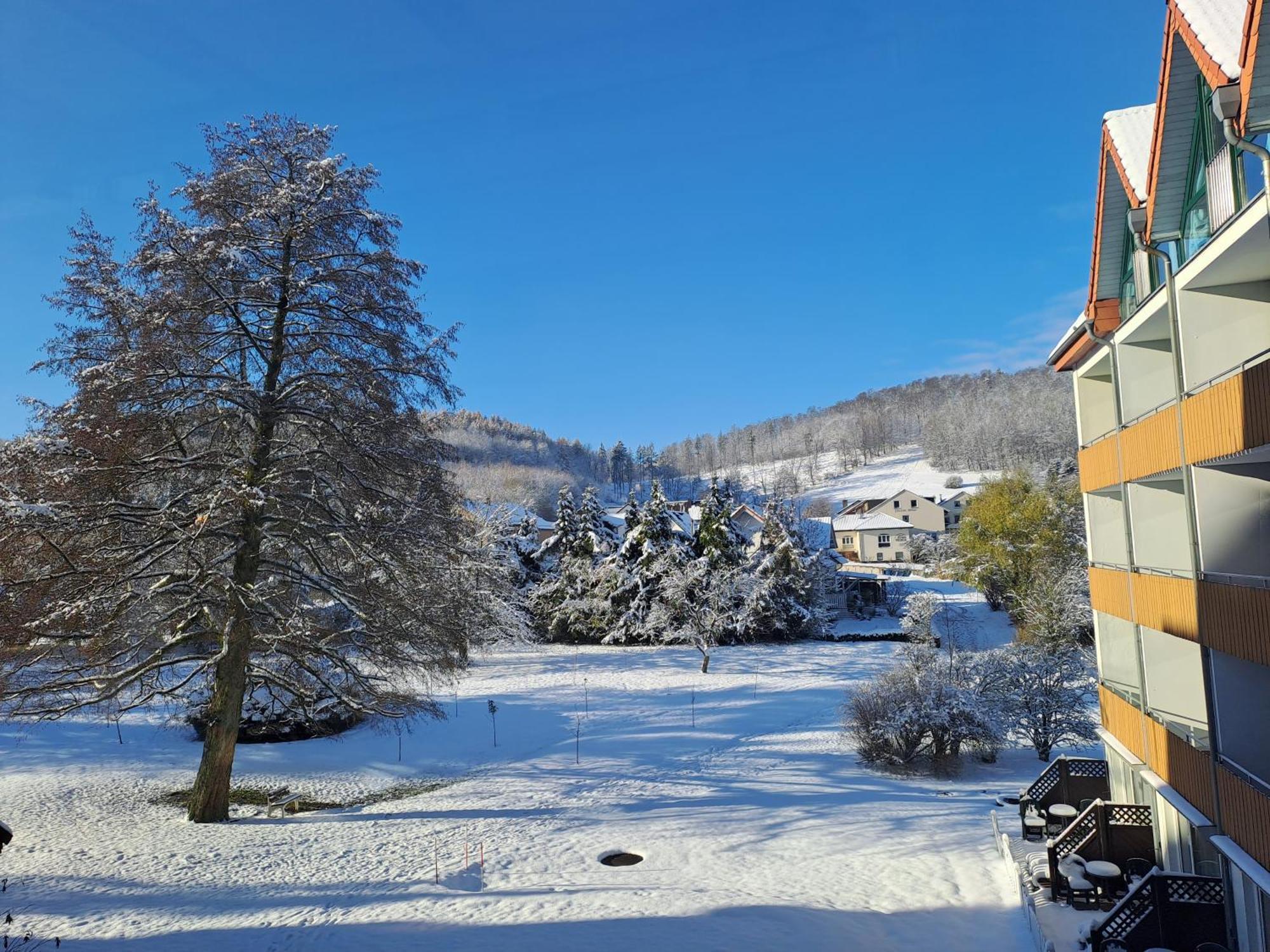 Waldhotel Baerenstein Хорн-Бад Майнберг Екстериор снимка